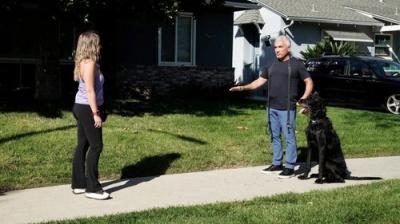 Cesar Millan: Better Human, Better Dog