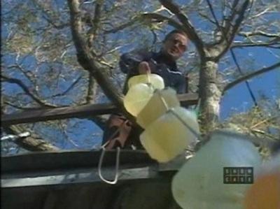 Trailer Park Boys