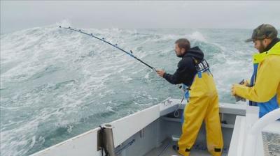 Wicked Tuna