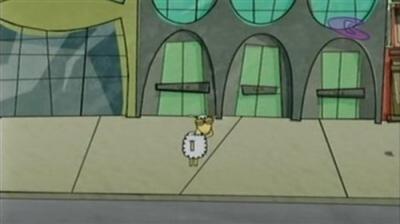 Sheep in the Big City