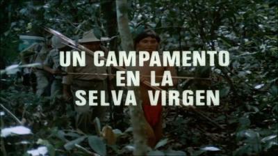 El hombre y la Tierra