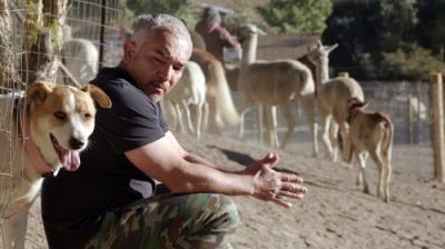 Cesar Millan: Better Human, Better Dog