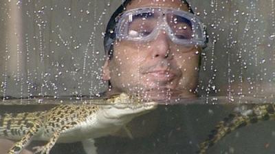 I'm a Celebrity...Get Me Out of Here!