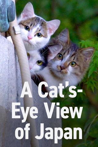 A Cat's-Eye View of Japan filmas online