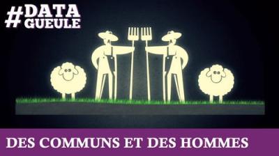 Data Gueule