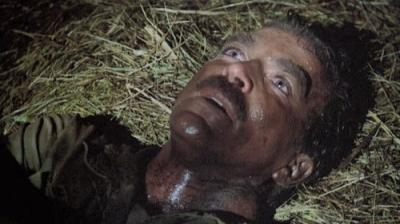 Magnum, P.I.