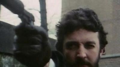 The Professionals