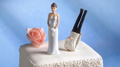 Who The (Bleep) Did I Marry? filmas žiurėti online