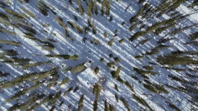 Life Below Zero