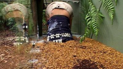 I'm a Celebrity...Get Me Out of Here!