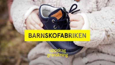 Uppdrag granskning