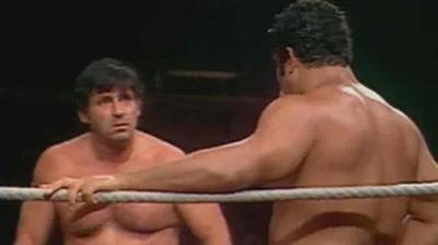 WWF All-Star Wrestling