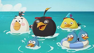 Angry Birds Toons