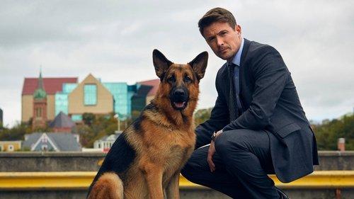 Hadsonas ir Reksas filmas žiurėti online