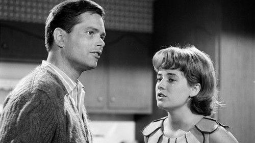 The Patty Duke Show filmas žiurėti online