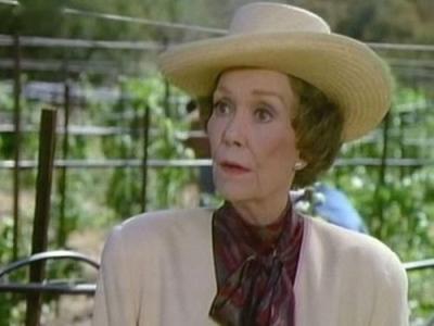 Falcon Crest