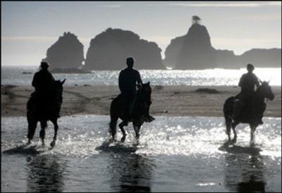 Anthony Bourdain: No Reservations