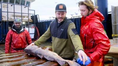 Deadliest Catch
