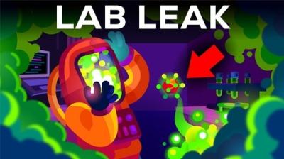 Kurzgesagt - In a Nutshell