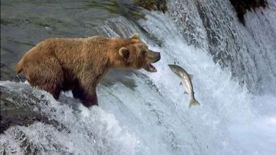 Didžiosios migracijos