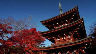The Seasons of Yamato