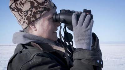 Life Below Zero