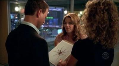 CSI: NY