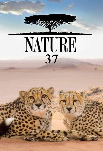 Nature filmas online