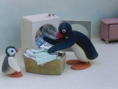 Pingu