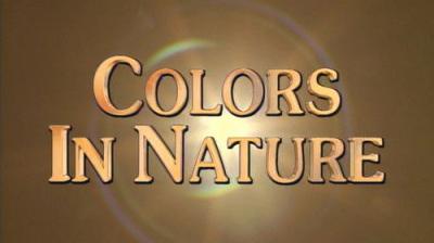 Marty Stouffer's Wild America