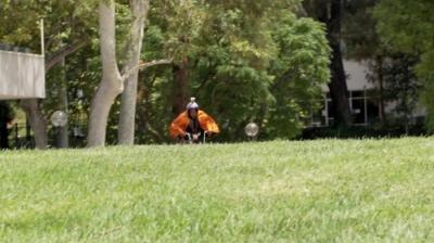 Loiter Squad