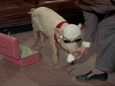 Green Acres