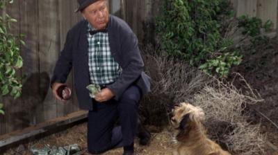 Petticoat Junction