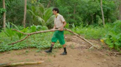 Survivor Québec
