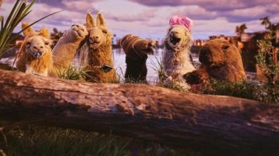 La Llama que Llama: La Serie