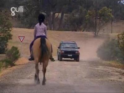 The Saddle Club
