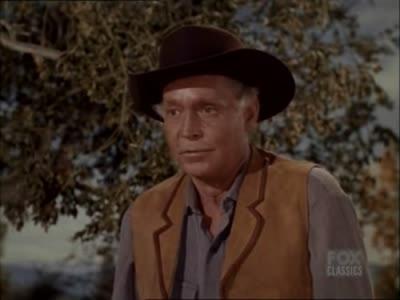 Bonanza