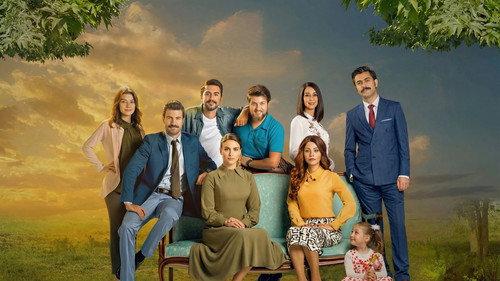 Çınarın Gölgesinde filmas žiurėti online