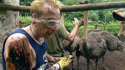 I'm a Celebrity...Get Me Out of Here!