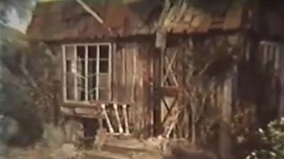 Petticoat Junction