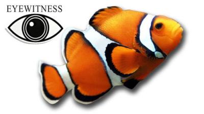 Eyewitness
