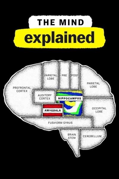 The Mind, Explained filmas online