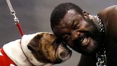 WWF Wrestling Challenge