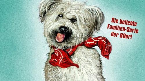 Here's Boomer filmas žiurėti online