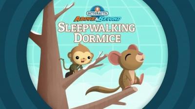 Octonauts: Above & Beyond