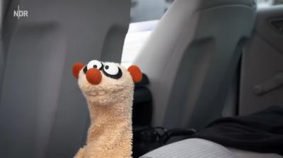 Ein Fall für die Erdmännchen
