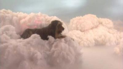 Vedęs ir turi vaikų