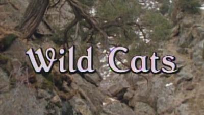 Marty Stouffer's Wild America