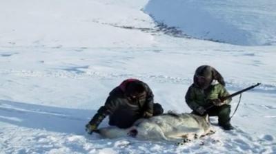 Life Below Zero
