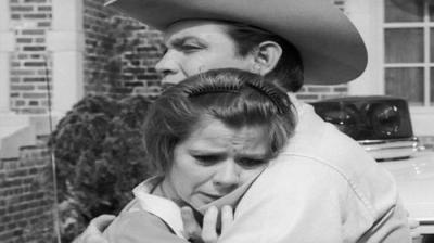 The Fugitive